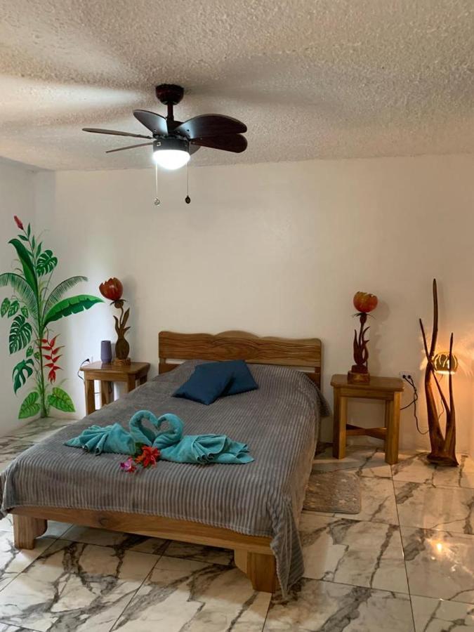 לינה וארוחת בוקר קאוויטה Casa Mambo מראה חיצוני תמונה