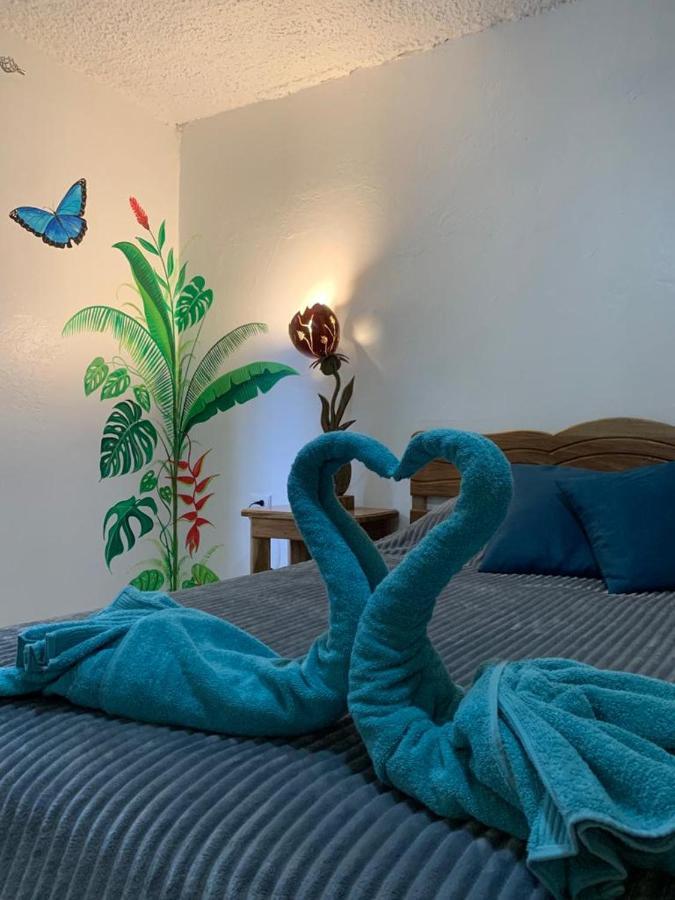 לינה וארוחת בוקר קאוויטה Casa Mambo מראה חיצוני תמונה